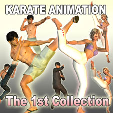 The 1st Collection of Karate Animations
