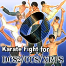 Karate Fight for DCS2/CCS/XRPS